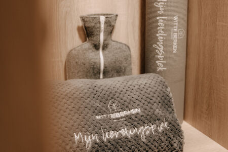 Hotelkamer Witte Berken Natuurhotel Yoga